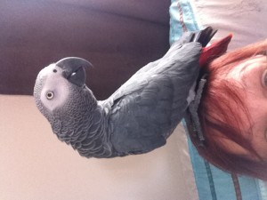 Oscar